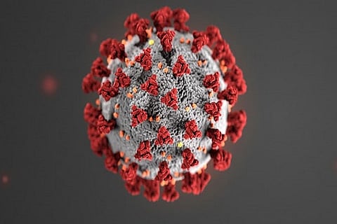 Here’s how NMDC is fighting against spread of Coronavirus