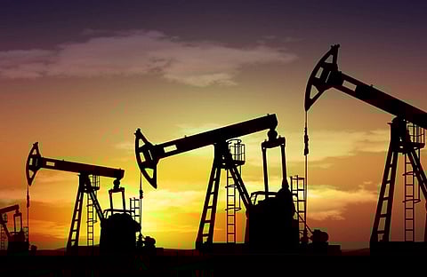 10th oil, gas block bidding round in 2025 on liberalised terms: Oil Ministry Official