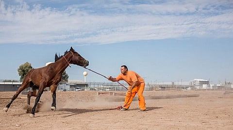 J&K Bank Has Metamorphosed Into a PSB And Only The Govt Seems To Be Happy With It