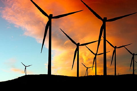 SoftBank Energy heads bidding in wind power auction