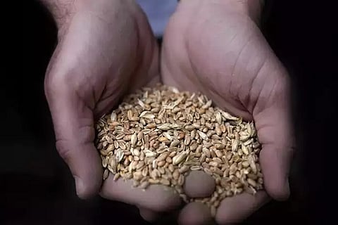 Govt to build wheat silos on surplus govt land on PPP basis at 33 locations in 4 states