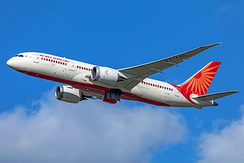 Currently, the airline has a domestic market share of 10 percent and an international market share of 12 percent