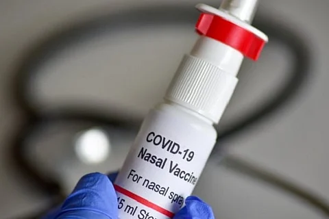 New launch: This PSU developed world’s first nasal vaccine for COVID