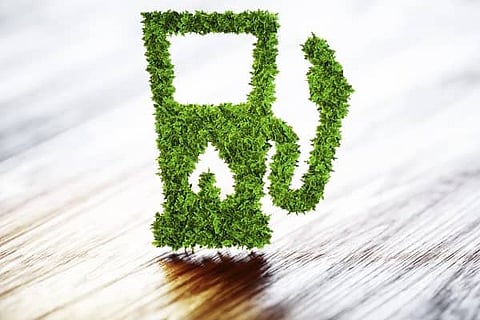 Green hydrogen can enable energy transition in India's net-zero journey: WEF report