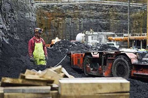 Coal import cannot be zero, its blending with domestic dry fuel helped maintain stock: Power Min