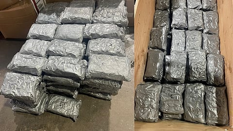 मुंबई: डीआरआई ने अंतरराष्ट्रीय ड्रग्स रैकेट का भंडाफोड़ किया, 39.5 करोड़ रुपये का गांजा जब्त