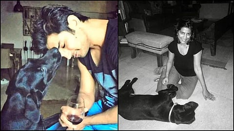 Sushant Singh Dog Dies