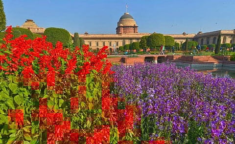 The Mughal Garden of Rashtrapati Bhavan will now be called Amrit Udyan