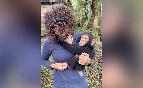 The little chimpanzee stuck to the woman considering it as a mother, people said - love has no language