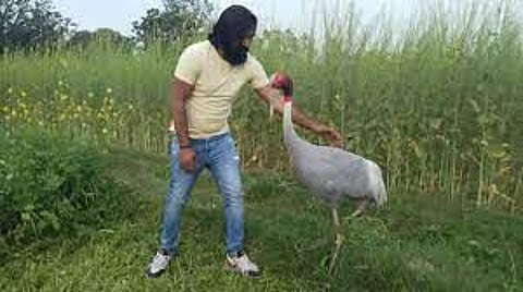 What did Arif living with 'friend' stork say on the action of Forest Department