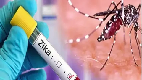 7 decade old virus knocked in Mumbai, alert in all states of the country