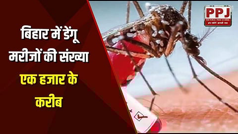 Number of dengue patients in Bihar nears one thousand: 200 new cases in 48 hours; Know everything from symptoms to prevention