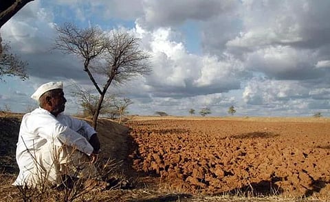 Faces of farmers wither due to less rain, risk of crop damage to 5 lakh hectares increases