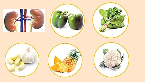 किडनी च्या आरोग्यासाठी या पदार्थांचे सेवन झालेच पाहिजे