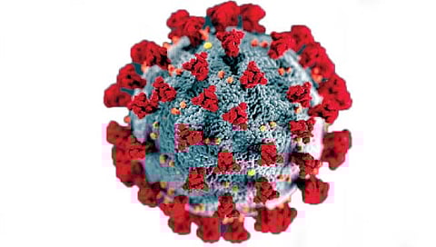 पुणे जिल्ह्यात दिवसभरात १११४ कोरोना रुग्ण, १४ जणांचा मृत्यू