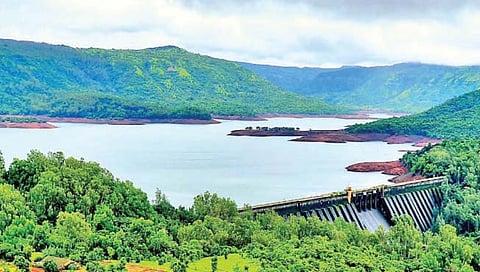 सातारा : जिल्ह्यातील धरणांत ४१ टक्के पाणीसाठा
