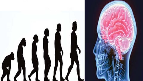 जल-वायू मुळे मानवी मेंदू, शरीराच्या आकारात बदल