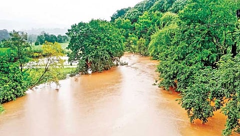 कोल्हापूर जिल्ह्यात संततधार पाऊस ; अनेक बंधारे पाण्याखाली