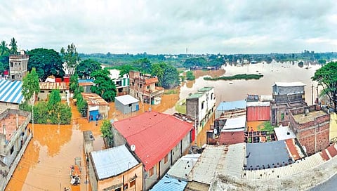 संग्रहीत छायाचित्र