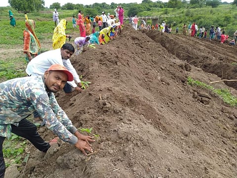 परभणी : खळी येथे दोन एकर जागेत उभारतेय ‘ऑक्सिजन पार्क’!