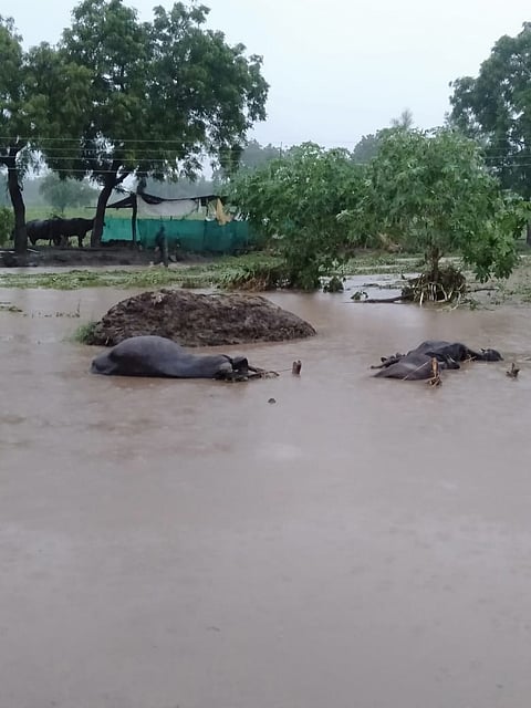 जळगाव पूर : डोंगरी नदीच्या पुराच्या पाण्यात बुडाल्याने वृद्धेचा मृत्यू