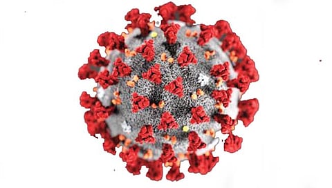नॅशनल कोव्हिड टास्क फोर्स म्हणते लहान मुलांना चालू वर्षी कोरोना लस नको