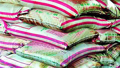 धुळे : खरीप हंगामासाठी रासायनिक खतांची पुरेशी उपलब्धता; कृषि आयुक्त सुनील चव्हाण