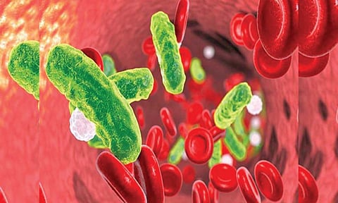 मानवी शरीरातच ‘बहुगुणी’ अँटिबॉडी!