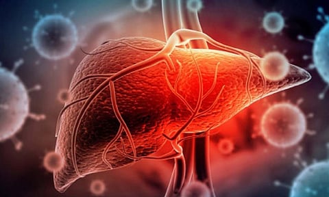 हिपॅटायटिस आणि उपचार