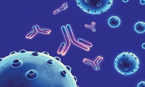 दोन मोनोक्लोनल अँटिबॉडी च्या मिश्रणाच्या लाभाची पुष्टी