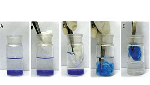 पाण्यावरील तेल शोषून घेणारे सुपरअॅब्सॉर्बंट! भारतीय संशोधकाचा शोध