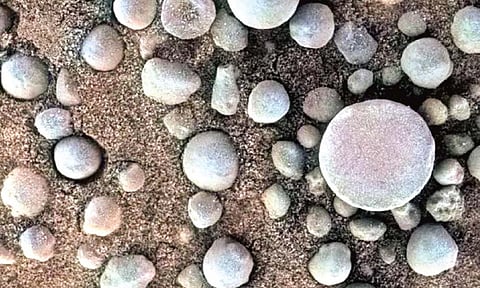 मंगळावर ब्लूबेरी मध्ये असू शकतात पाण्याचे संकेत