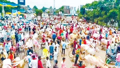 हातकणंगले : बैलगाड्यांमुळे कुंभोज फाट्याला आलेले जत्रेचे स्वरूप.