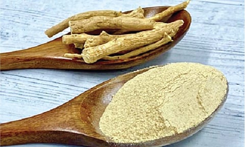 कोव्हिडवरील अश्वगंधा च्या वापरासाठी भारत-ब्रिटनचे संयुक्त संशोधन