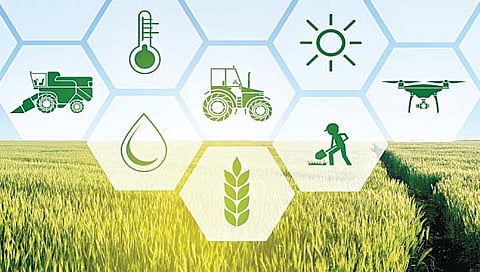 कृषी क्रांती अवतरली ; पण…