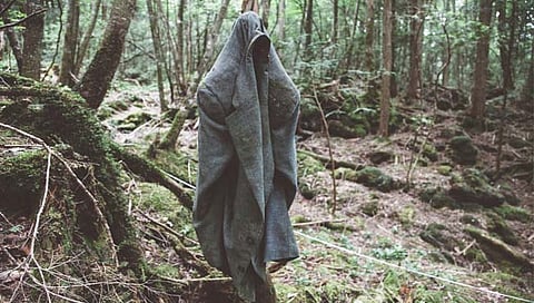 या जंगलात लोक आत्महत्या का करतात? जाणून घ्या रहस्य!