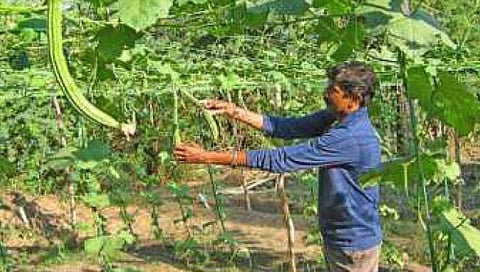 बदलती खेडी, बदलता भारत