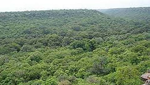 मध्य प्रदेश : हिरा विरुद्ध ऑक्सिजन