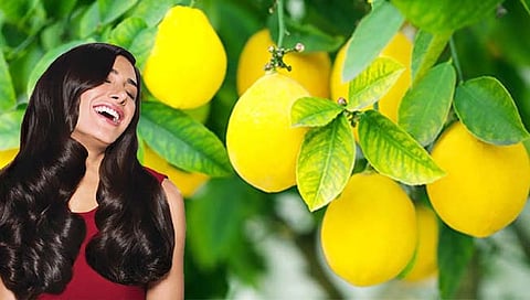 केस तजेलदार होण्यासाठी लिंबूचा असा करा वापर...