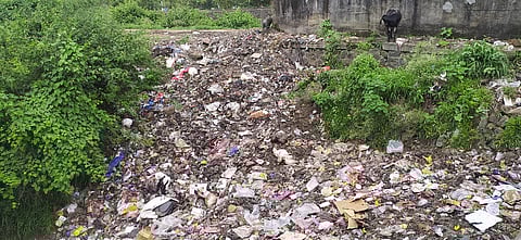 पुणे : वाघोलीमध्ये होणार पालिकेचा कचरा प्रकल्प!