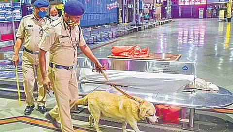 प्रातिनिधिक छायाचित्र