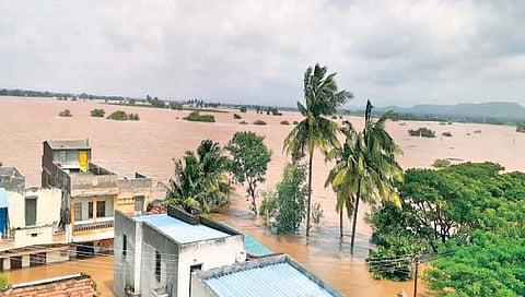 संग्रहीत छायाचित्र