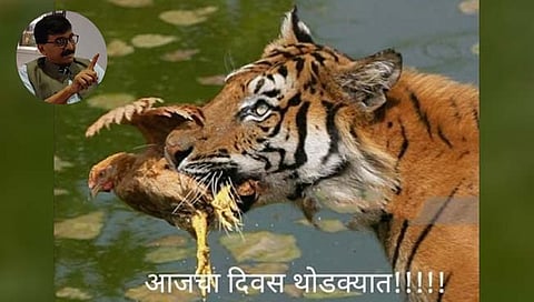 संजय राऊत