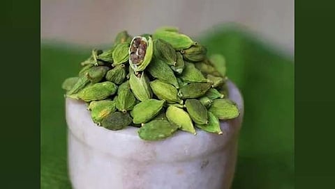 वेलदोडे