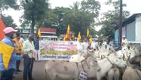 खाण पट्टा मिळावा यासाठी वडार समाजाचा कराडात गाढव मोर्चा