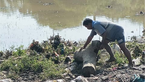 जळगाव महापूर : ३८ गावे बाधित, पावसाने घेतली उसंत