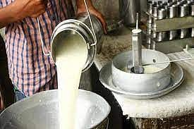 दूध दर : ‘कात्रज’ने केली शेतकर्यांची दिवाळी गोड, ७ कोटींचा देणार बोनस