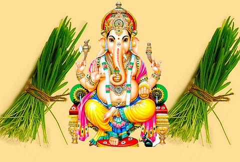 श्री गणेशाला का वाहतात दुर्वा ?