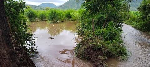 नाशिक : चनकापूर उजव्या कालव्याला भगदाड, लाखो लिटर पाणी वाया