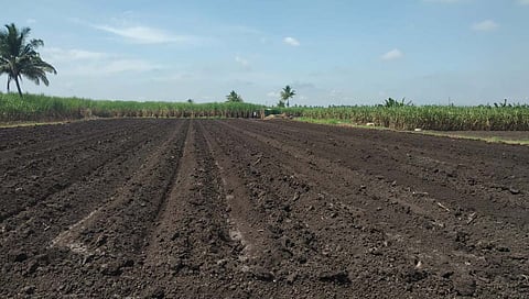 महापूर शेतजमिनीसाठी उपयुक्त ठरत आहे. यामुळे रासायनिक खतांचा वापर कमी होणार आहे.